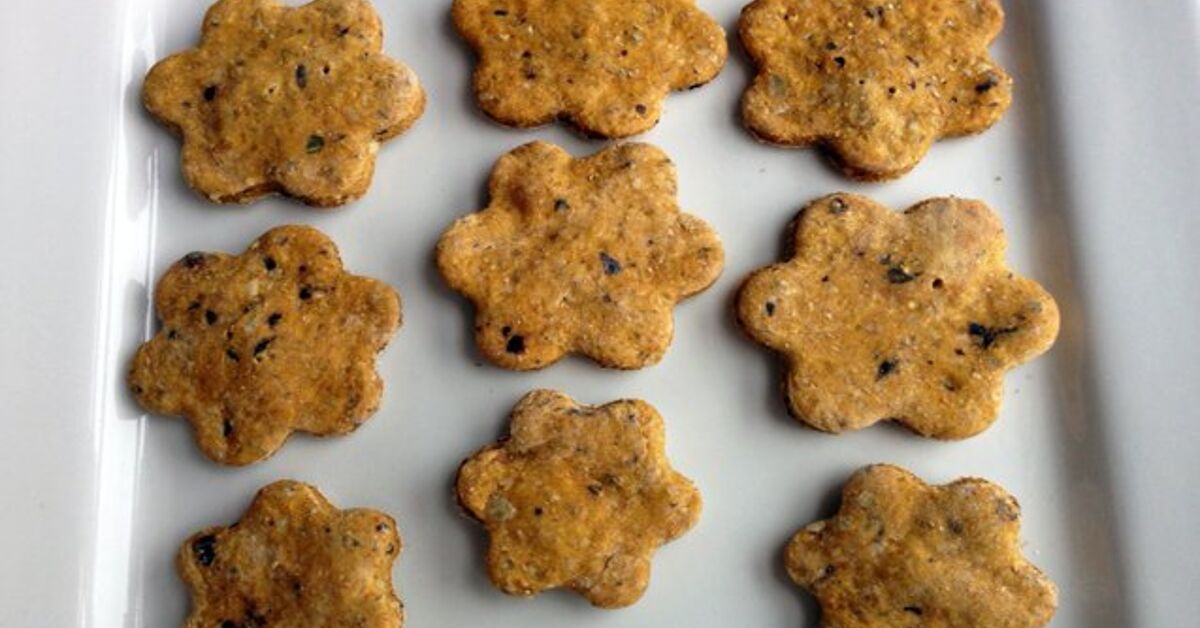 Beautiful Blueberry and Pumpkin Dog Treat Recipe