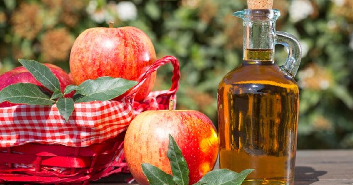 The Amazing Benefits Of Apple Cider Vinegar For Dogs